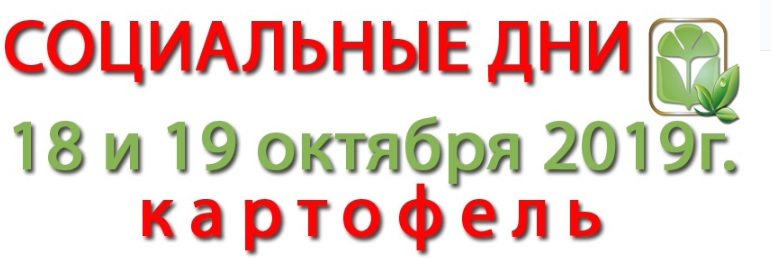 Нии Садоводства В Бирюлево Питомник Саженцы Цена