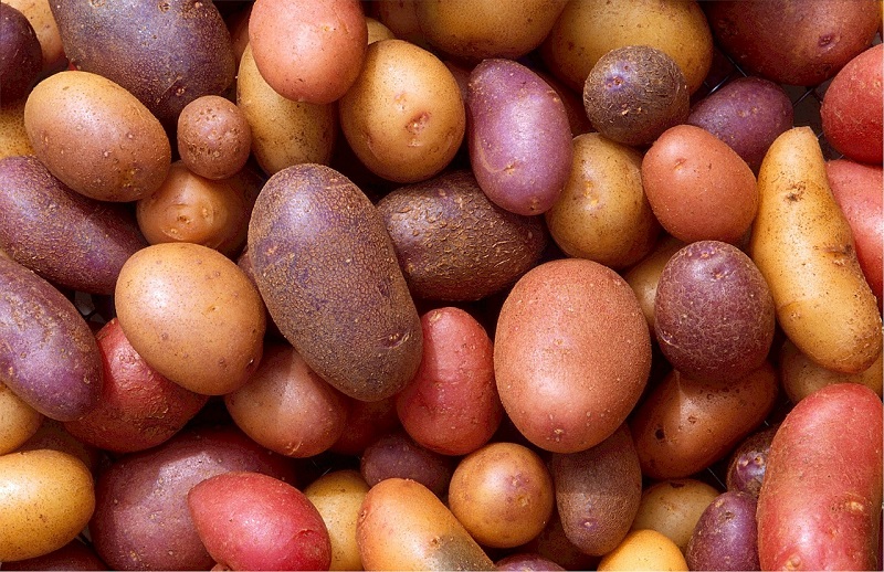 картошка, картофель, пиксибей, 0710