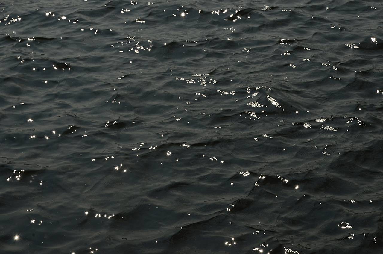 V Ежегодная всероссийская парусная регата работников театра и кино «Рыжая борода» пройдет 28 августа. Фото: Анна Быкова, «Вечерняя Москва»