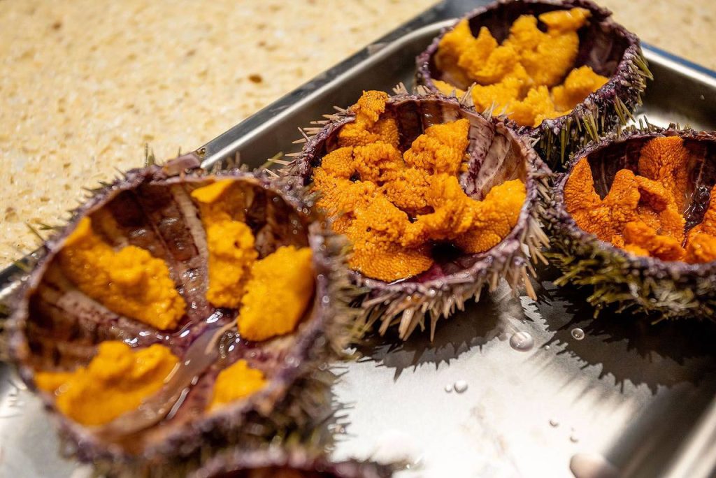 Ежей отправляют к покупателям как можно скорее. Перед погрузкой на борт самолета животных для оформления всех необходимых документов обязательно осматривает ветеринар. Фото: пресс-служба Департамента торговли и услуг города Москвы