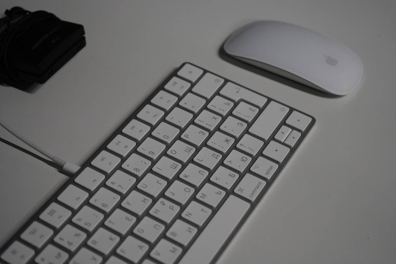 Фото: Анна Быкова, «Вечерняя Москва»