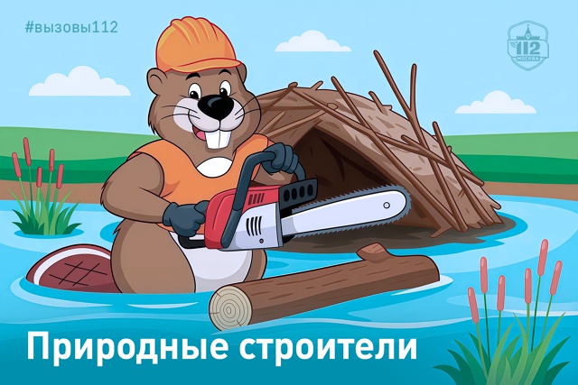 Фото: Управление по ЮАО Департамент