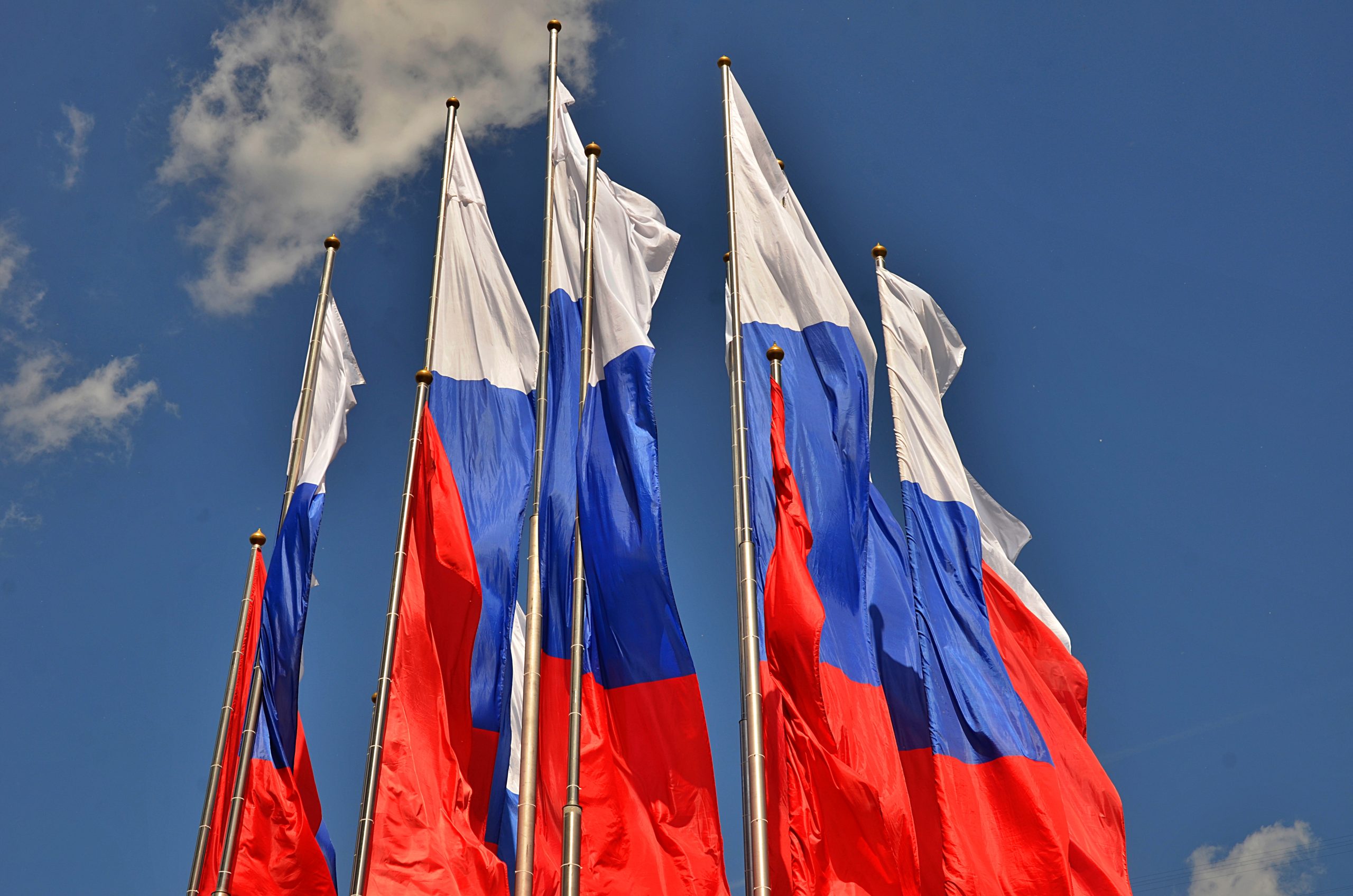 Фото: Анна Быкова, «Вечерняя Москва»