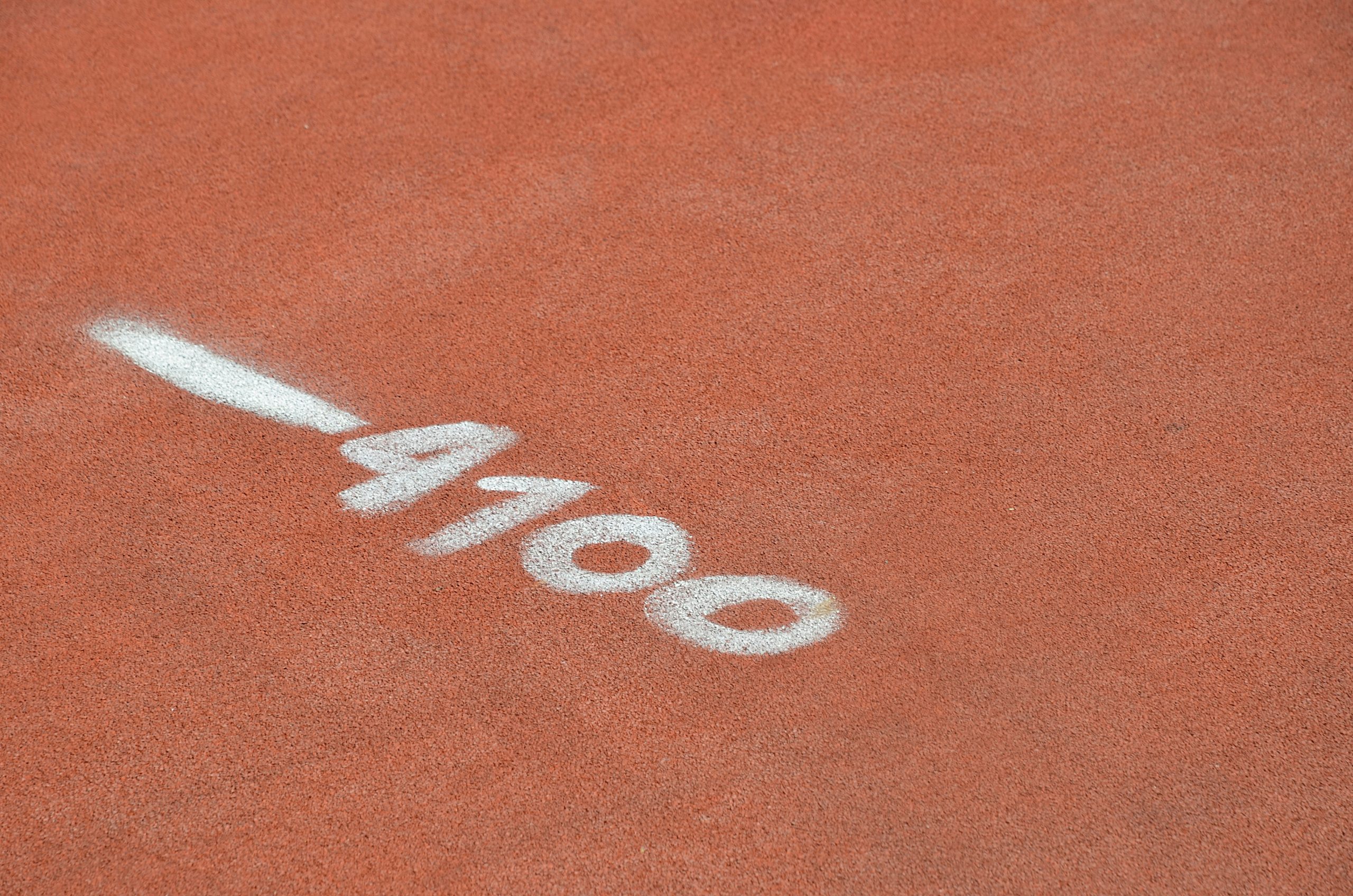 Забег «Дачный старт» состоится в Бирюлевском дендропарке. Фото: Анна Быкова, «Вечерняя Москва»