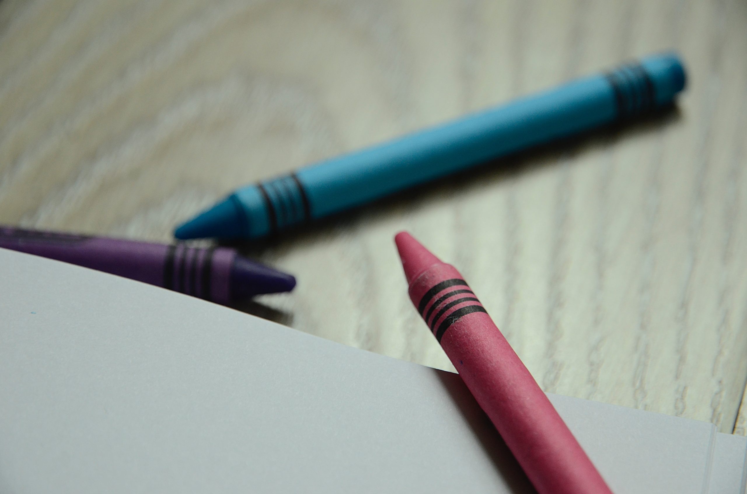 Фото: Анна Быкова, «Вечерняя Москва»