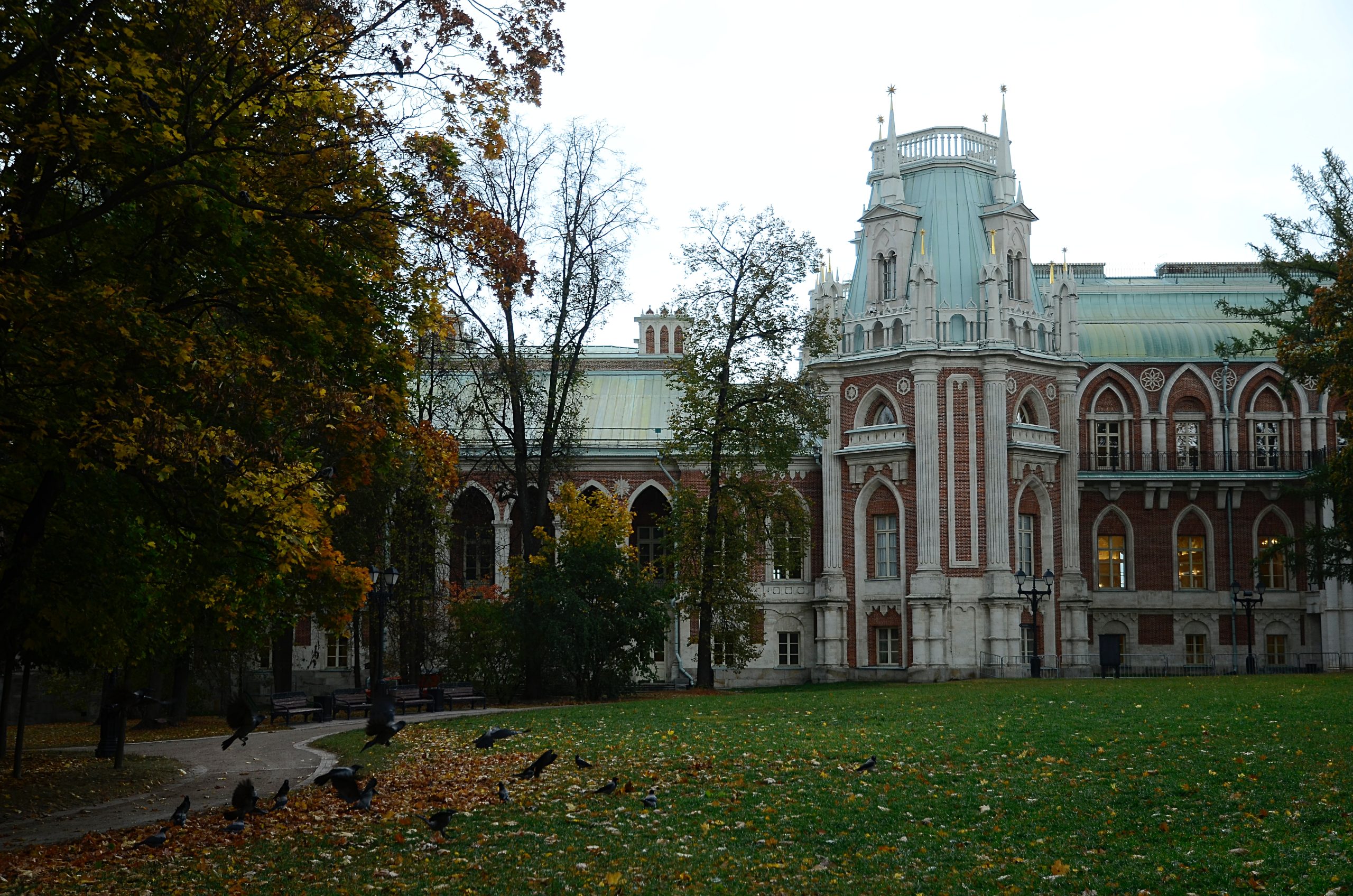 Сотрудники МЗ «Царицыно» пригласили горожан поучаствовать в «Евразийском подсчете птиц». Фото: Анна Быкова, «Вечерняя Москва»