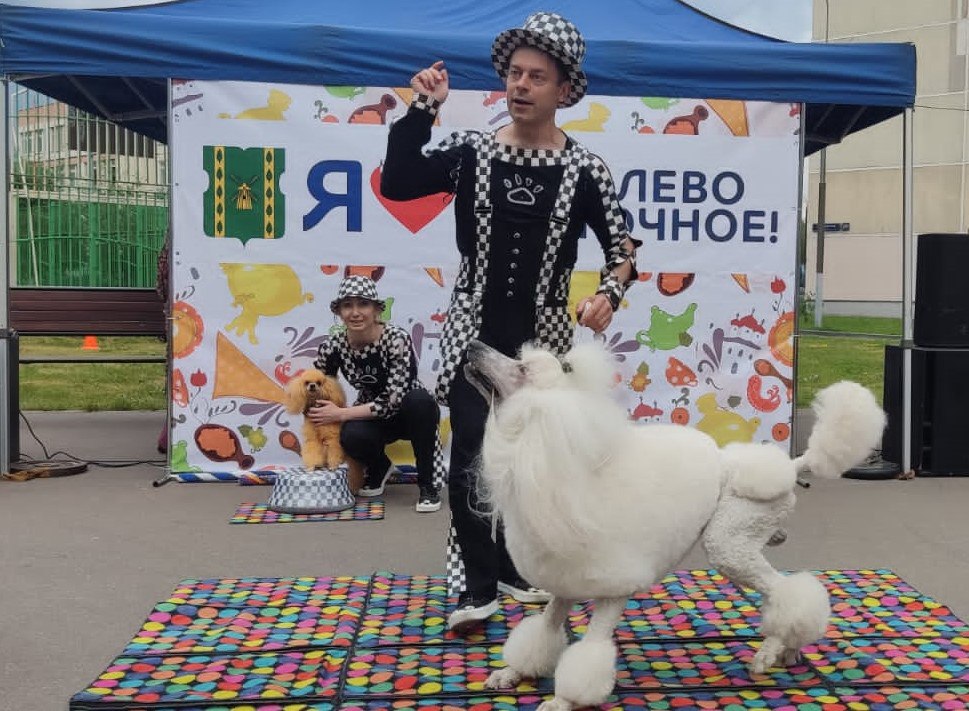 День города Москвы отметят в Бирюлеве Восточном. Фото: Telegram-канал управы района Бирюлево Восточное