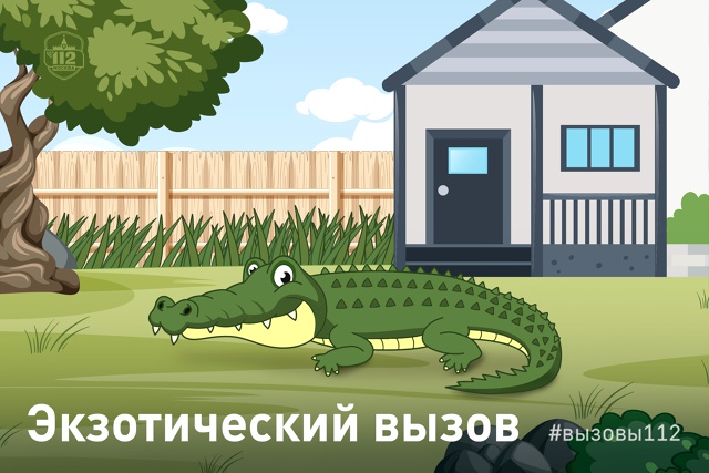 Фото: Управление по ЮАО Департамент