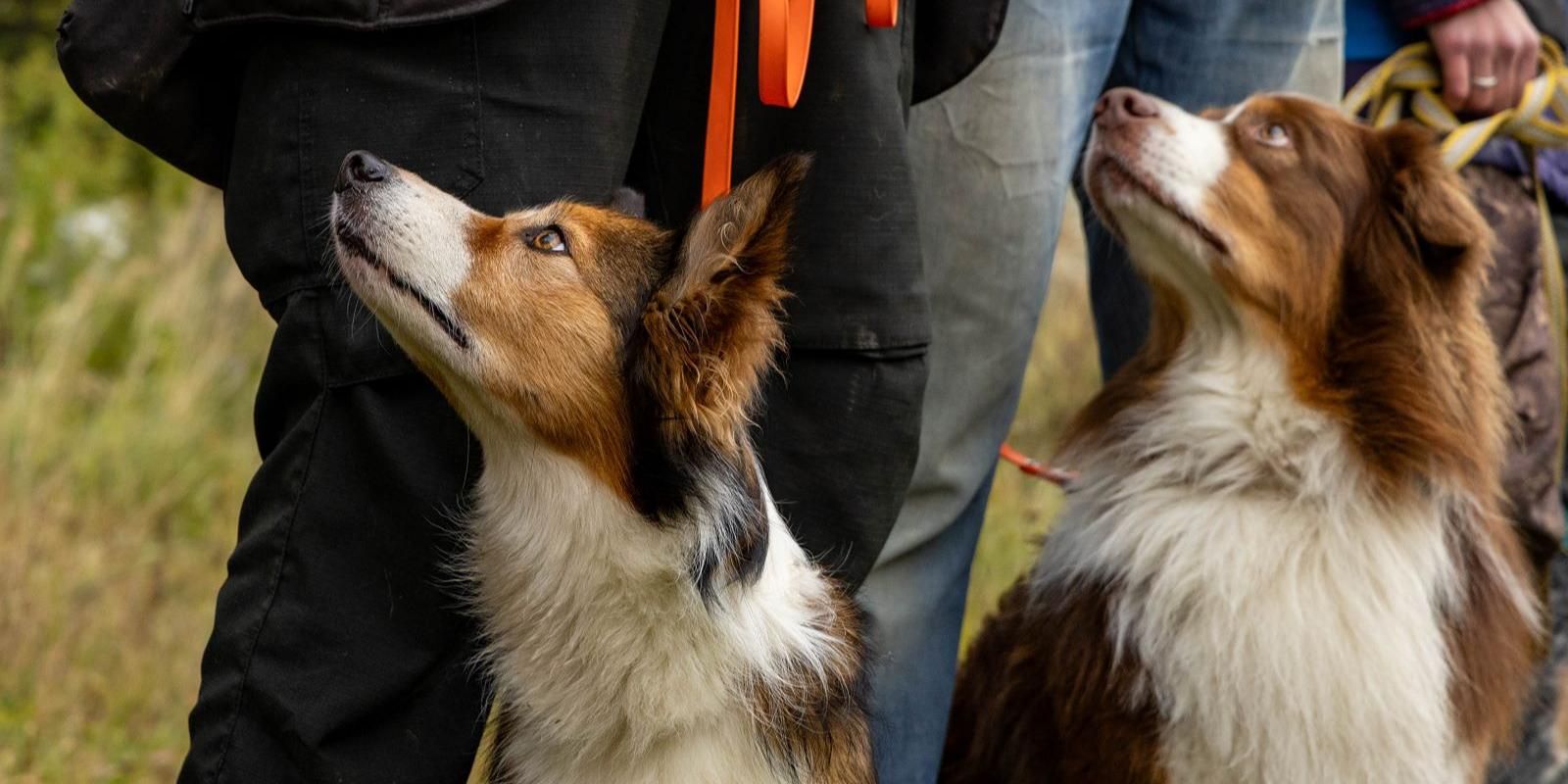 Фото: Управление по ЮАО Департамент