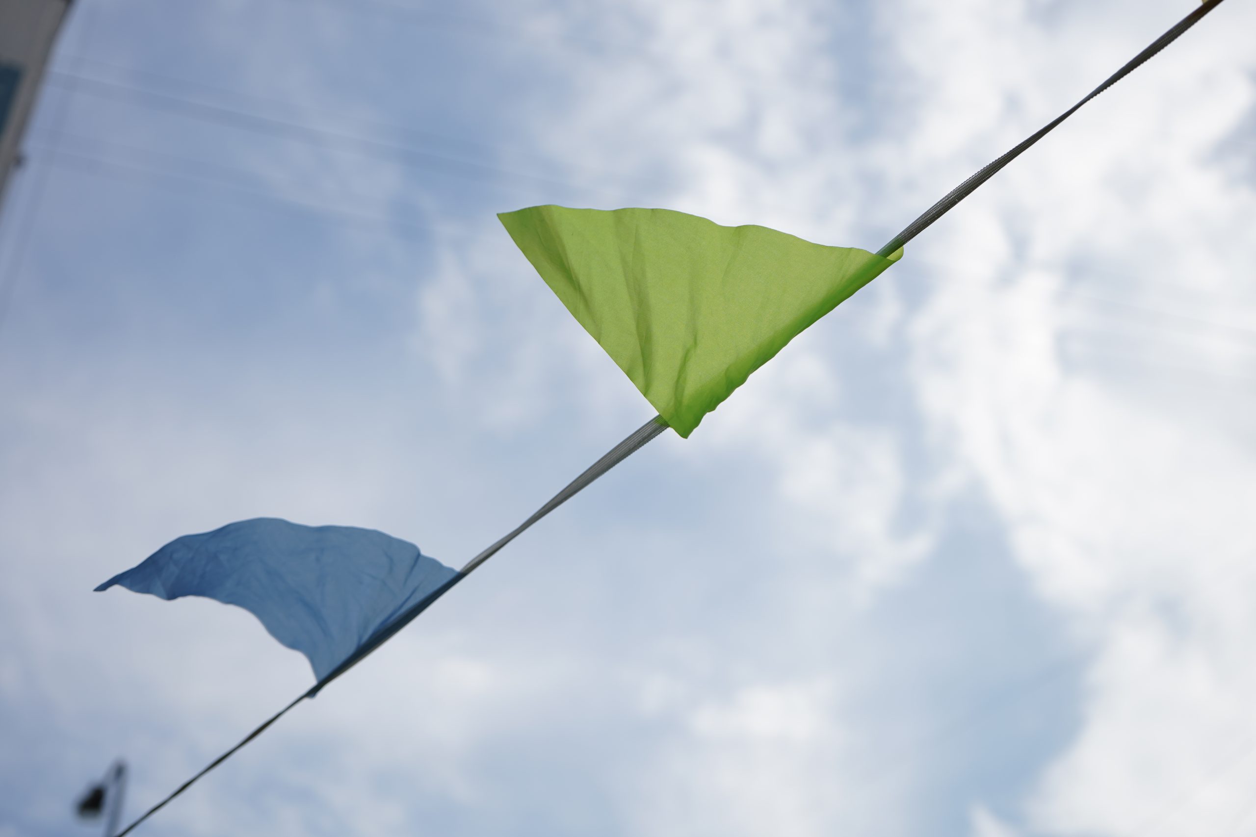 Праздник в честь Дня народного единства пройдет в Бирюлеве Восточном. Фото: Анна Быкова, «Вечерняя Москва»