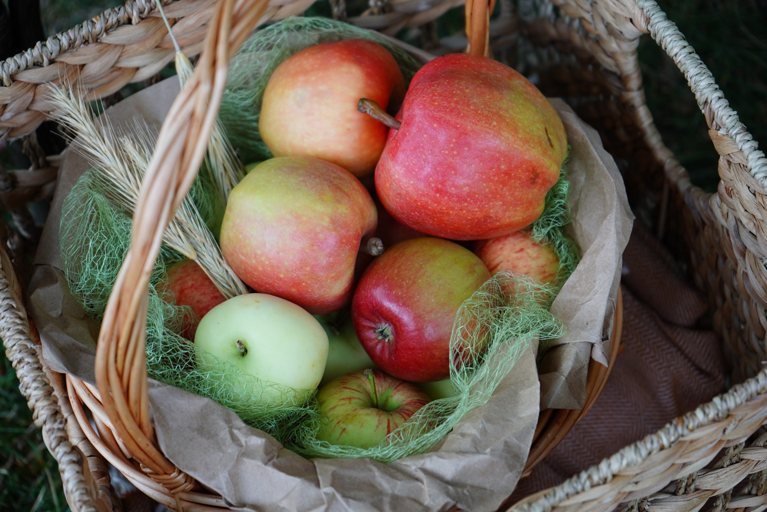 Всероссийскую акцию «Ученые — в школы» провели сотрудники ФГБНУ ФНЦ Садоводства в Бирюлеве Восточном. Фото: Анна Быкова, «Вечерняя Москва»