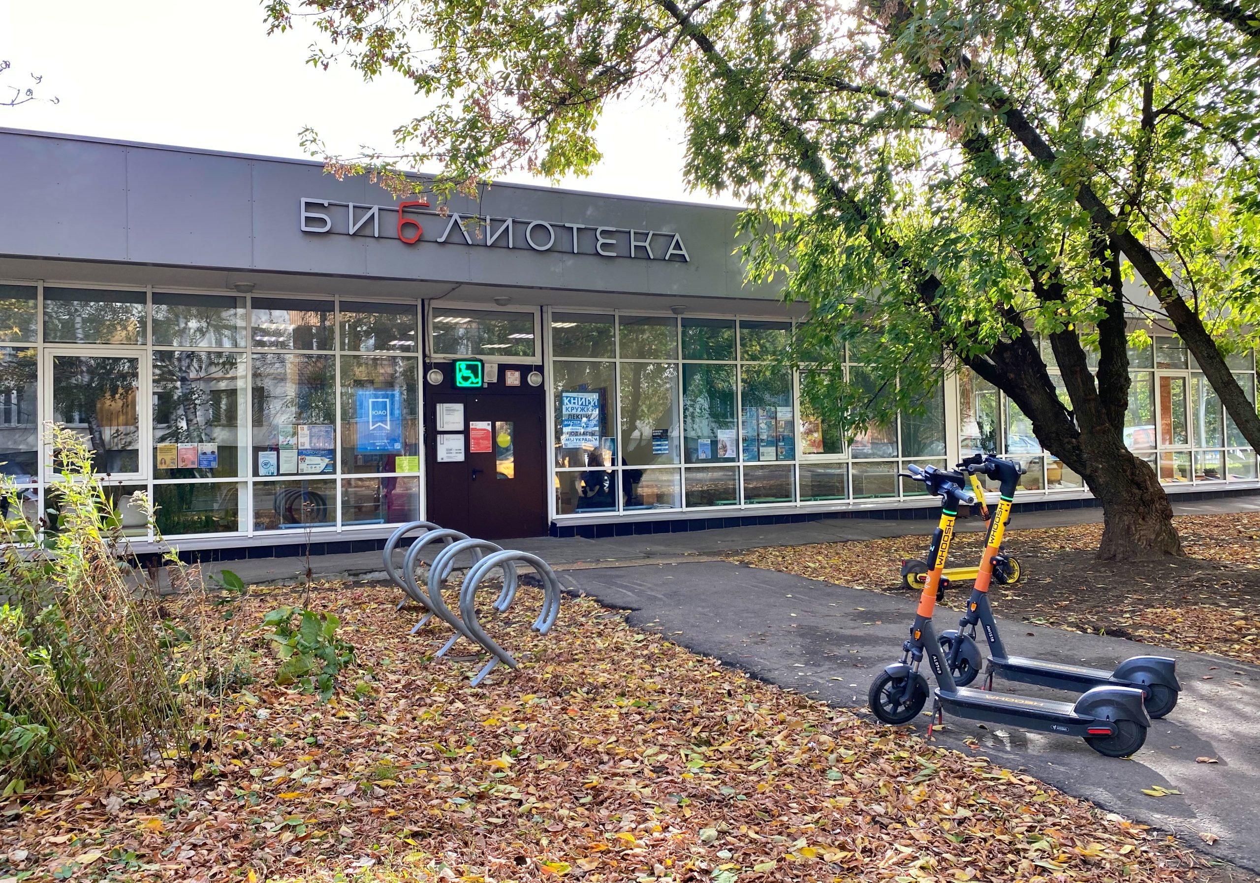 Мероприятие для юных горожан «Удивительное Черное море» пройдет в детской библиотеке №138. Фото: Анна Быкова, «Вечерняя Москва»