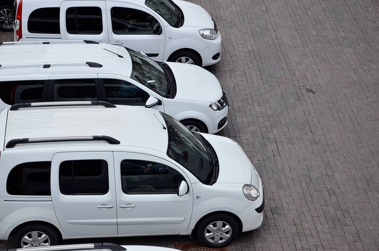 Фото: Анна Быкова, «Вечерняя Москва»