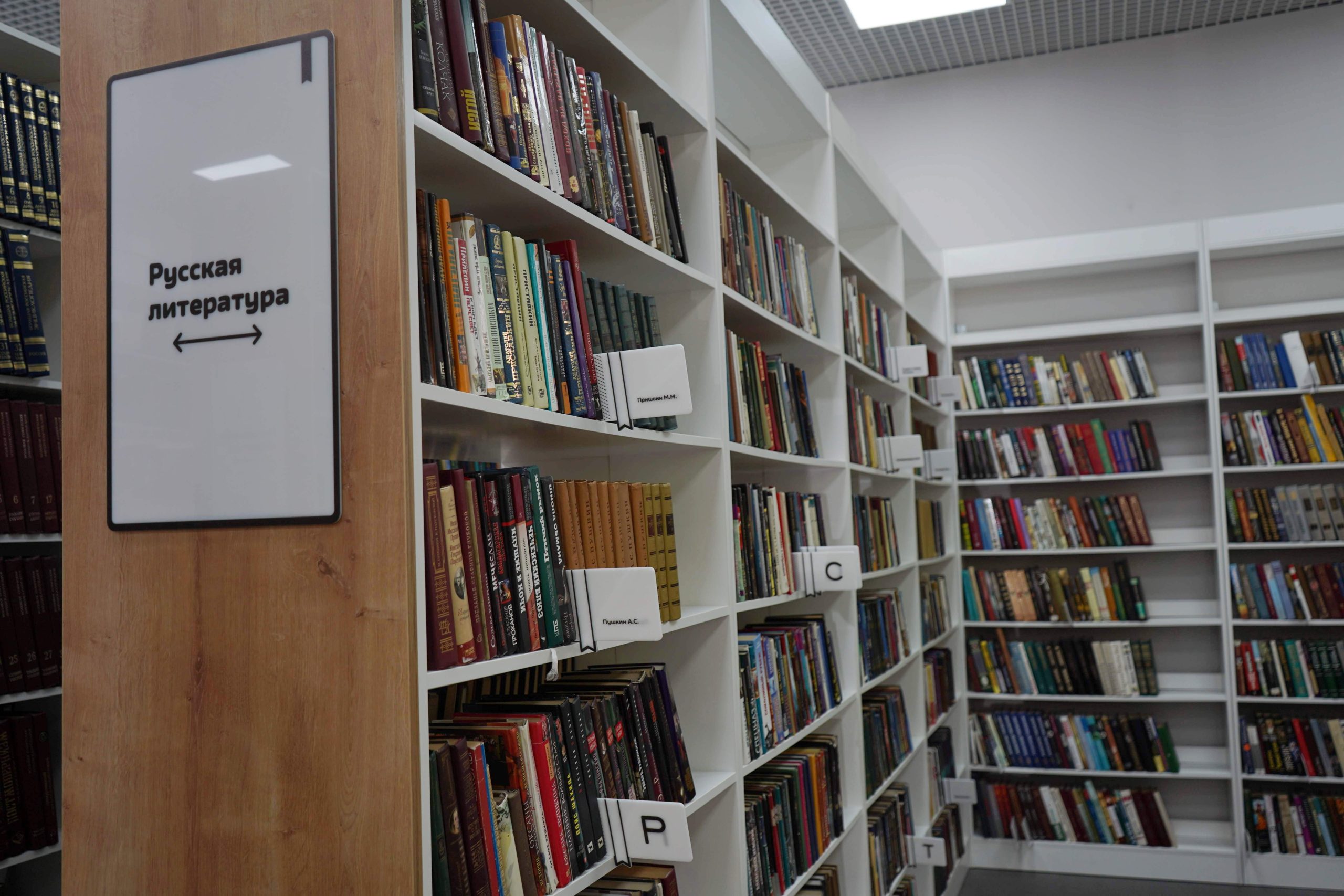 Творчество Майи Плисецкой обсудят в библиотеке №140. Фото: Анна Быкова, «Вечерняя Москва»