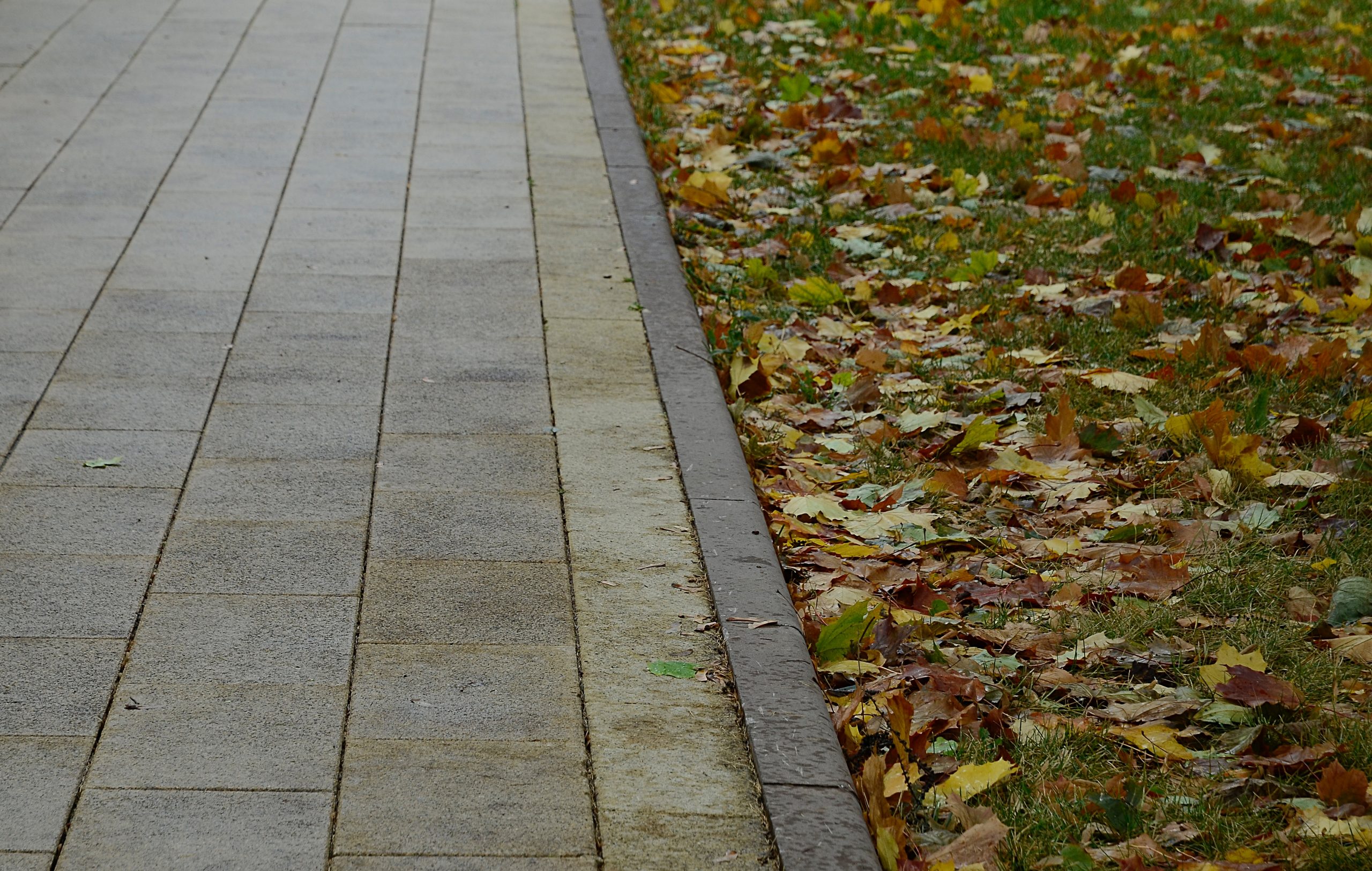 Подозреваемого в распространении наркорекламы задержали на юге столице. Фото: Анна Быкова, «Вечерняя Москва»