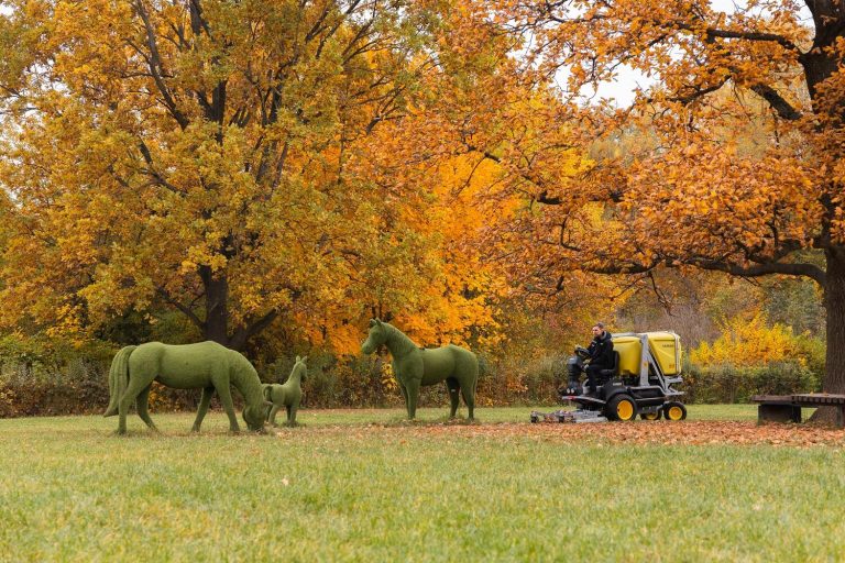 Сотрудники МЗ «Царицыно» завершили благоустройство Бирюлевского дендропарка. Фото: сайт МЗ «Царицыно»