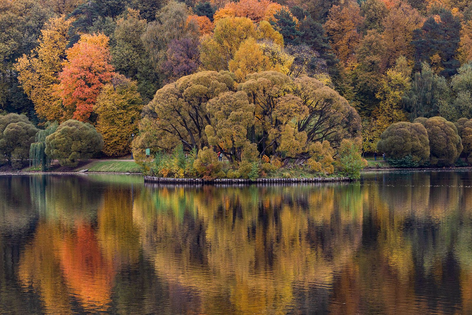 Осенний пруд можно посетить в МЗ «Царицыно». Фото: пресс-служба Департамента культуры города Москвы