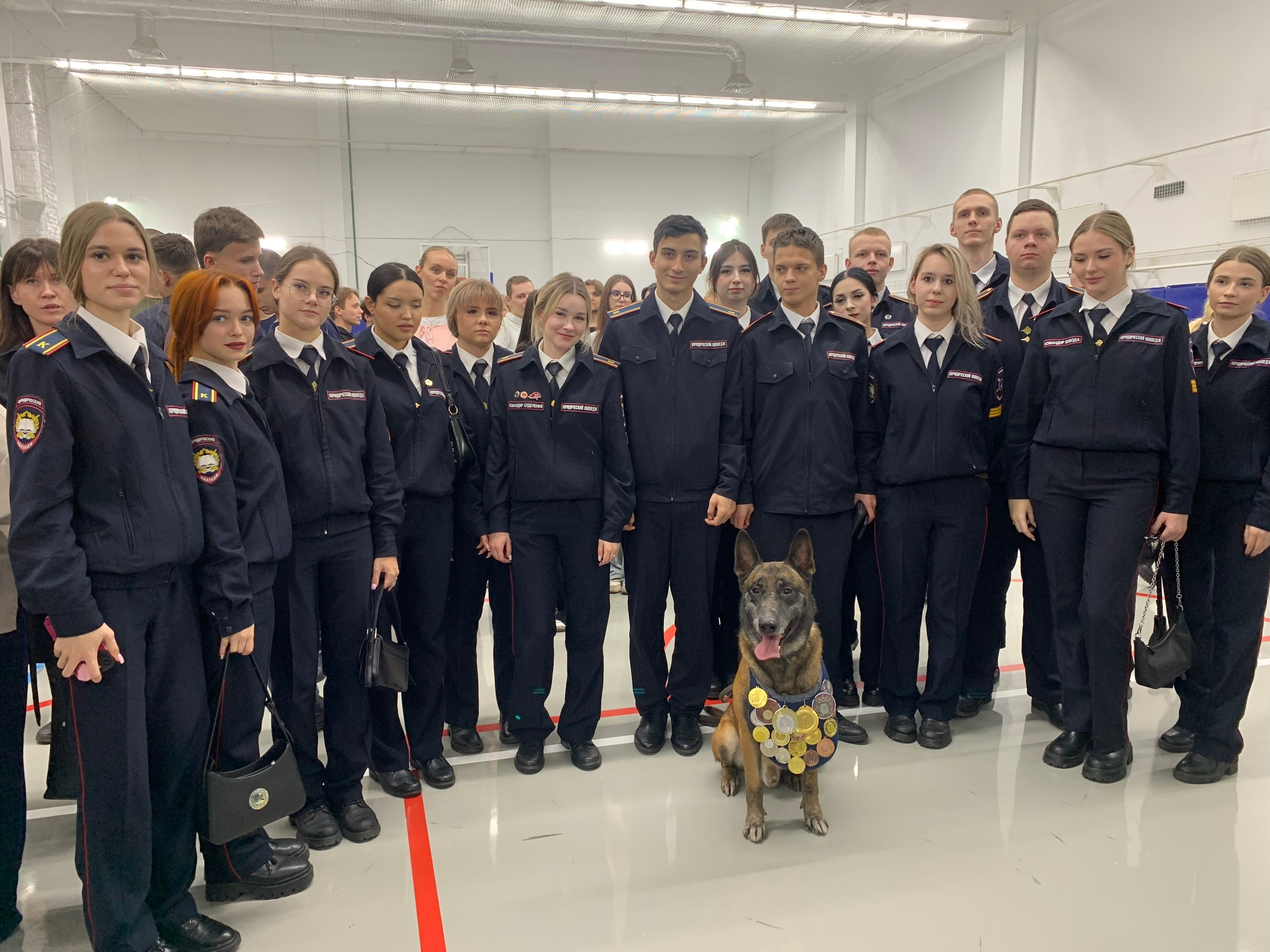 Фото: Пресс-служба УВД