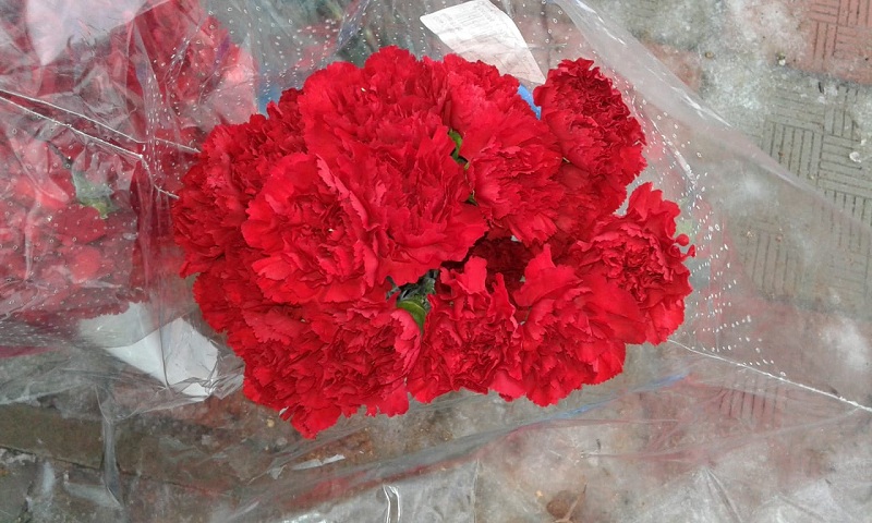 Фото: архив, «Вечерняя Москва»