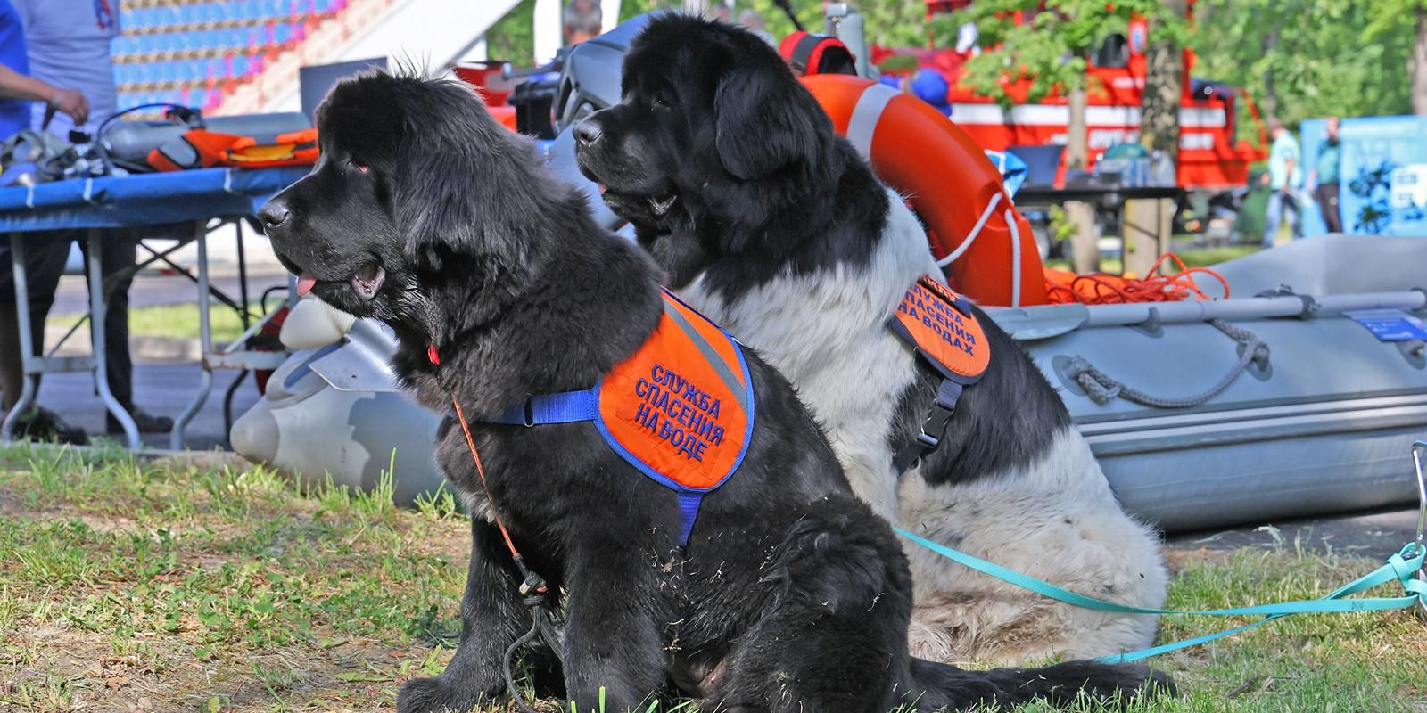 Управление по ЮАО Департамент