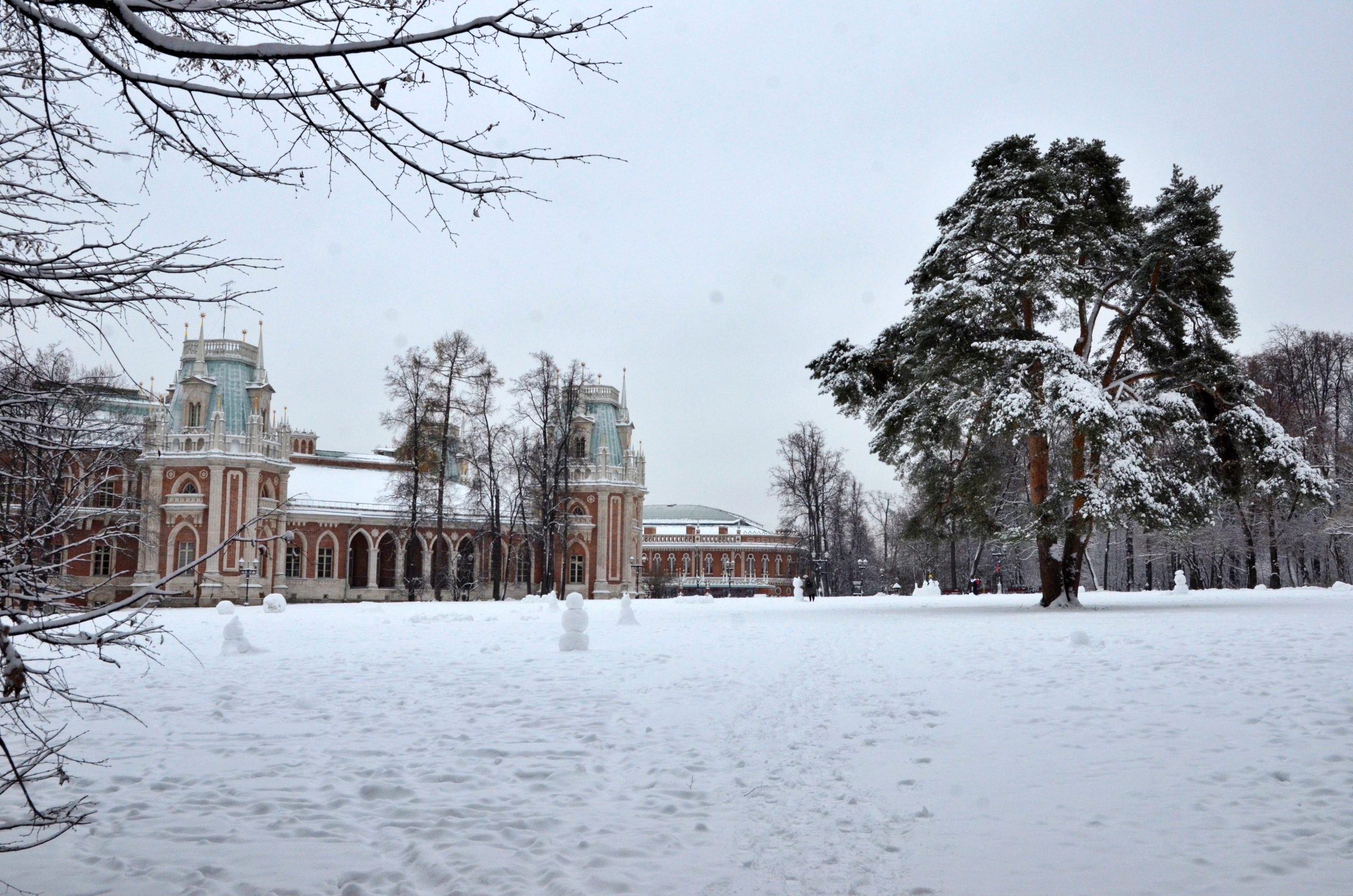 Мероприятия в рамках «Парковых выходных» проведут на стадионе «Огонек» в МЗ «Царицыно». Фото: Анна Быкова, «Вечерняя Москва»