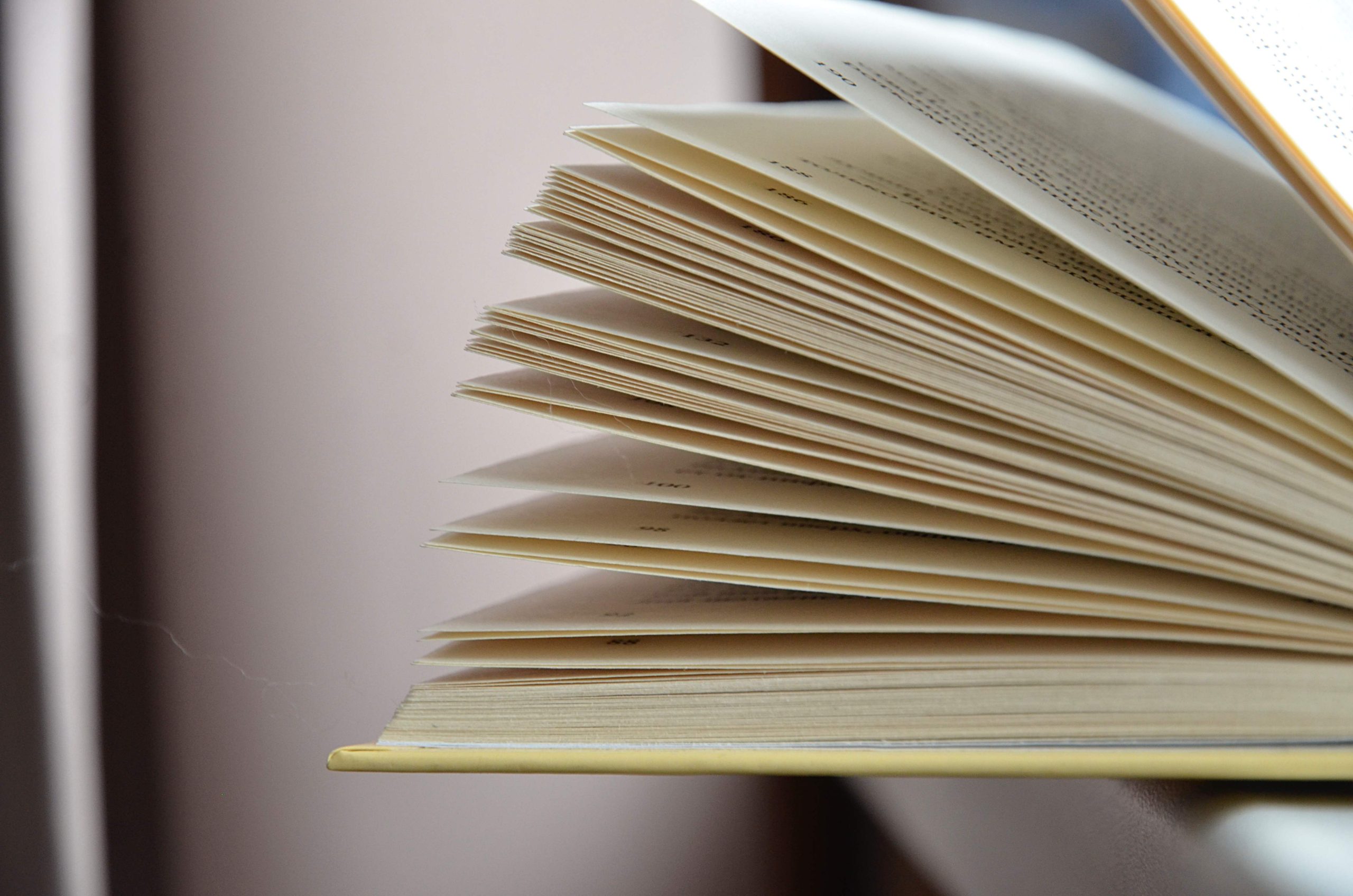 Мероприятие о новогодней елке пройдет в библиотеке №138. Фото: Анна Быкова, «Вечерняя Москва»