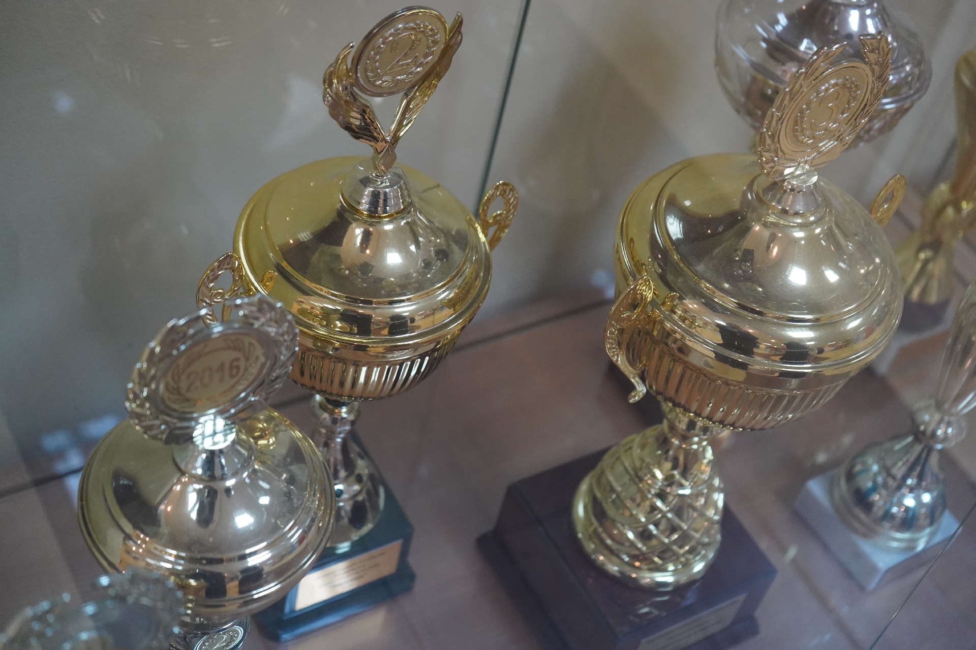 Воспитанники МКСШОР «Юг» успешно выступили на Чемпионате Европы. Фото: Анна Быкова, «Вечерняя Москва»