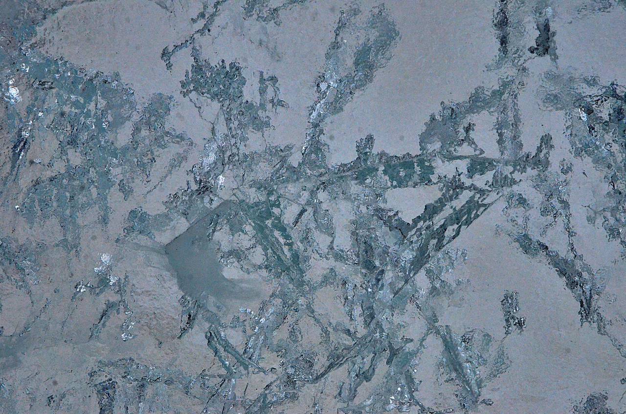 Фото: Анна Быкова, «Вечерняя Москва»