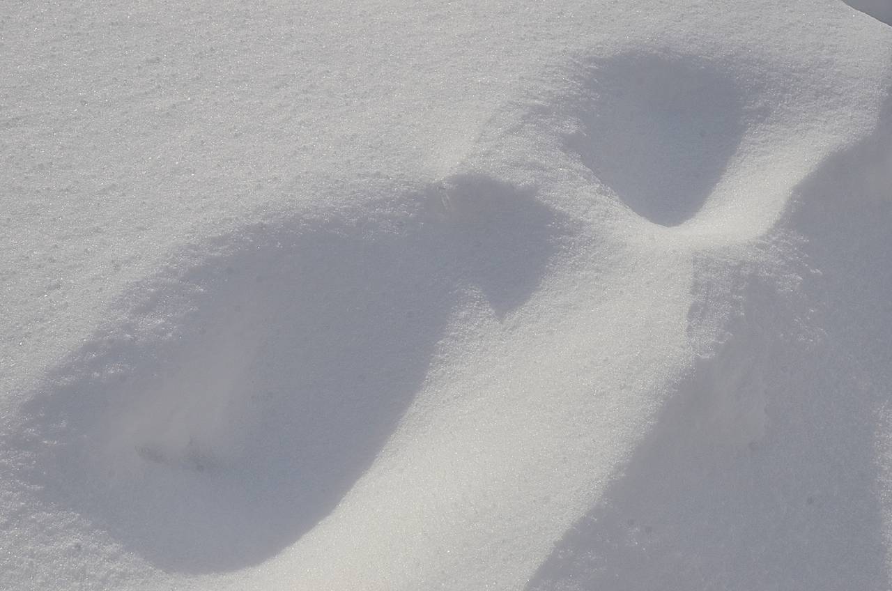 Фото: Анна Быкова, «Вечерняя Москва»