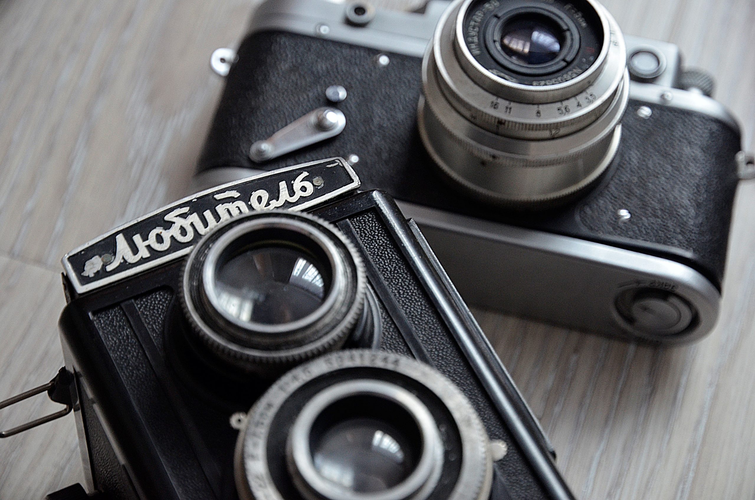 Фотоконкурс пейзажей объявили представители управы района Бирюлево Восточное. Фото: Анна Быкова, «Вечерняя Москва»