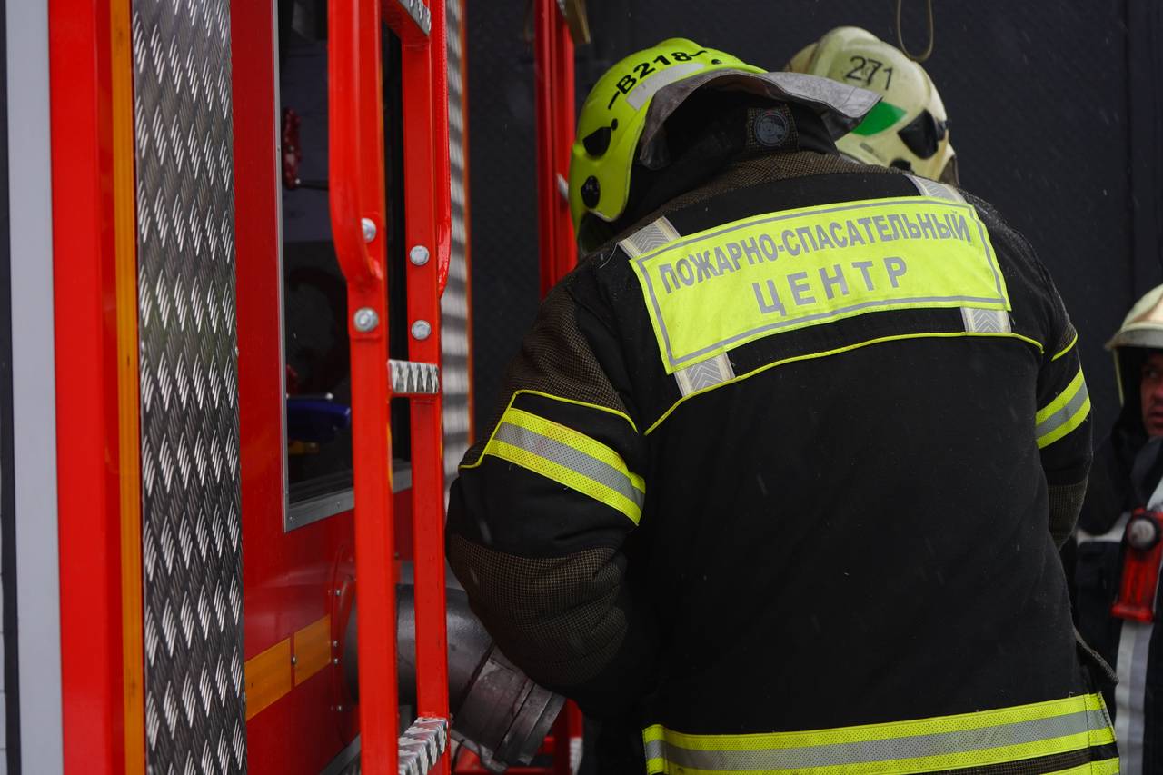 Фото: Анна Быкова, «Вечерняя Москва»